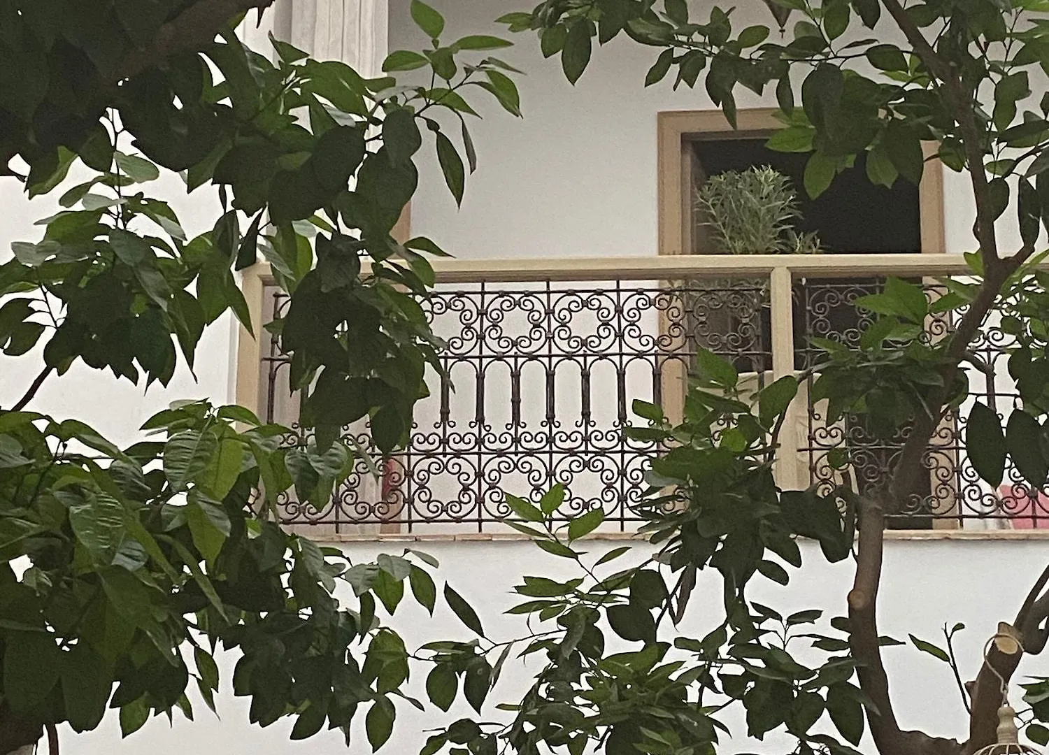 Riad Les Orangers D'Alilia Marrakesh