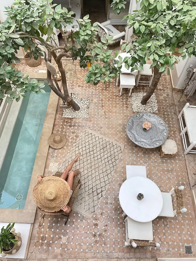 Riad Les Orangers D'Alilia Marrakesh
