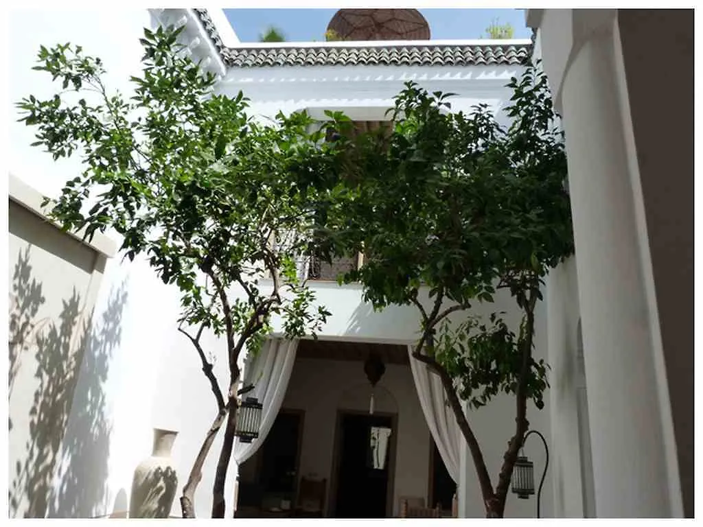 Riad Les Orangers D'alilia Marrakesh Maroc