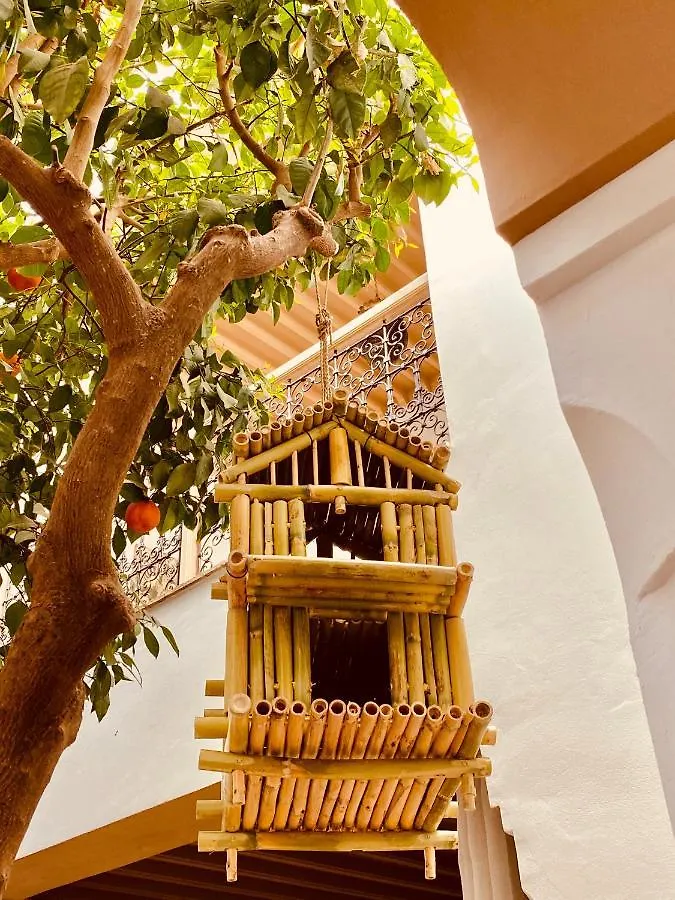 Riad Les Orangers D'alilia Marrakesh